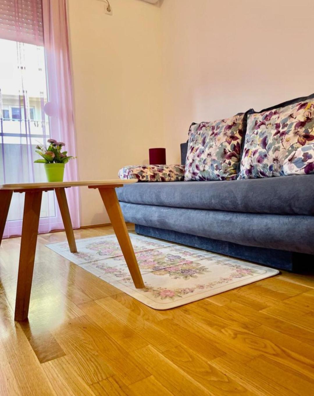 Naki Apartmani Podgorica Rum bild