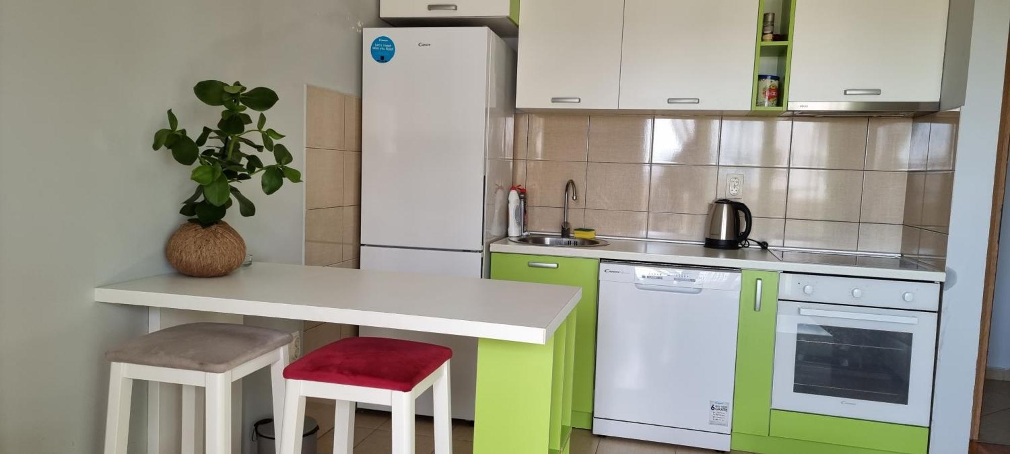 Naki Apartmani Podgorica Rum bild