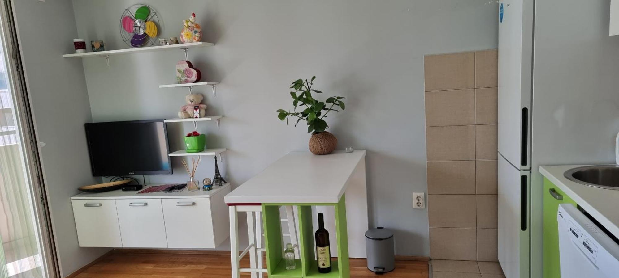 Naki Apartmani Podgorica Rum bild